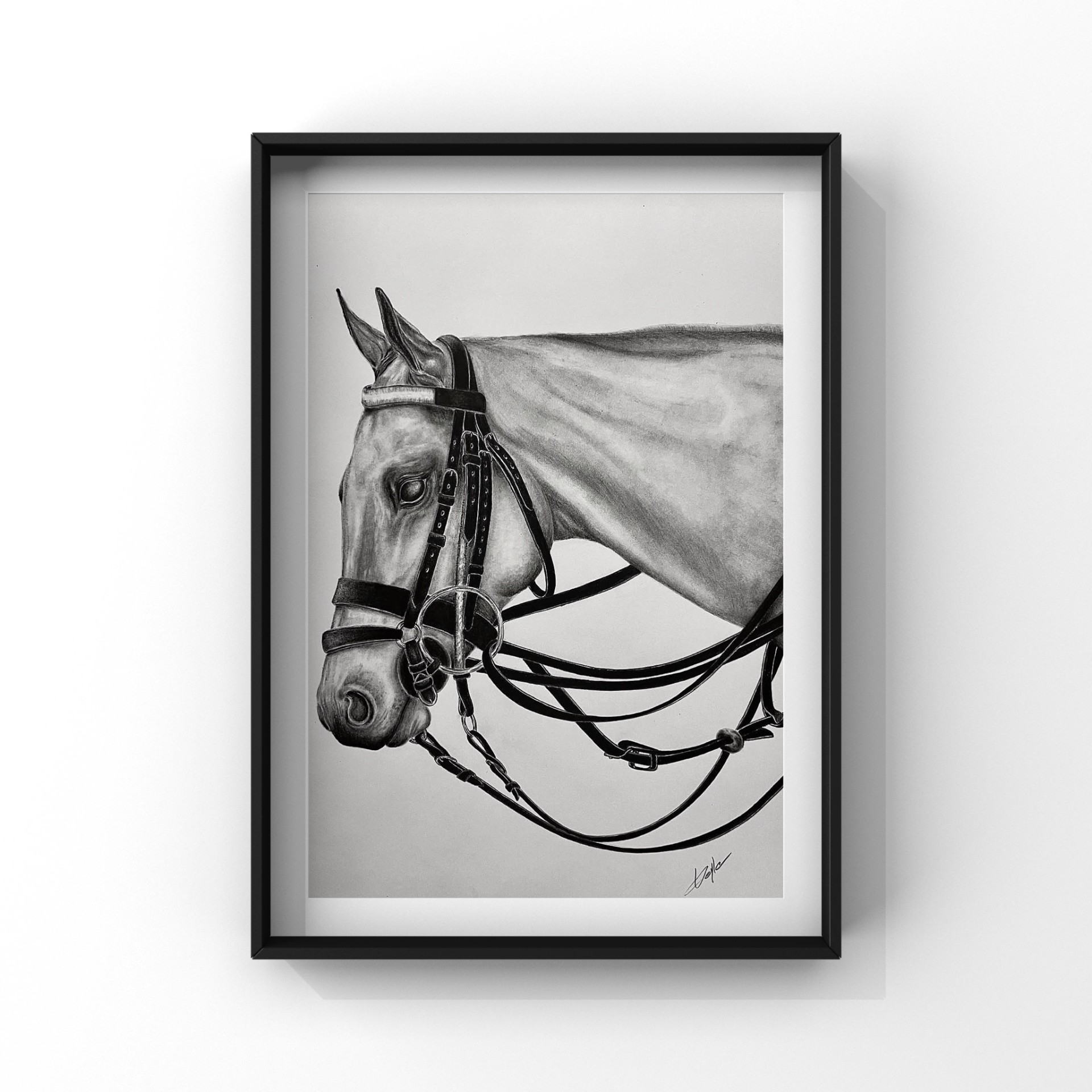 Polo Horse graphite drawing