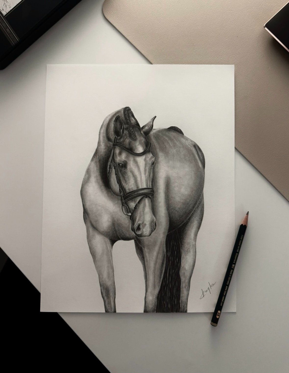 Dressage Horse graphite drawing