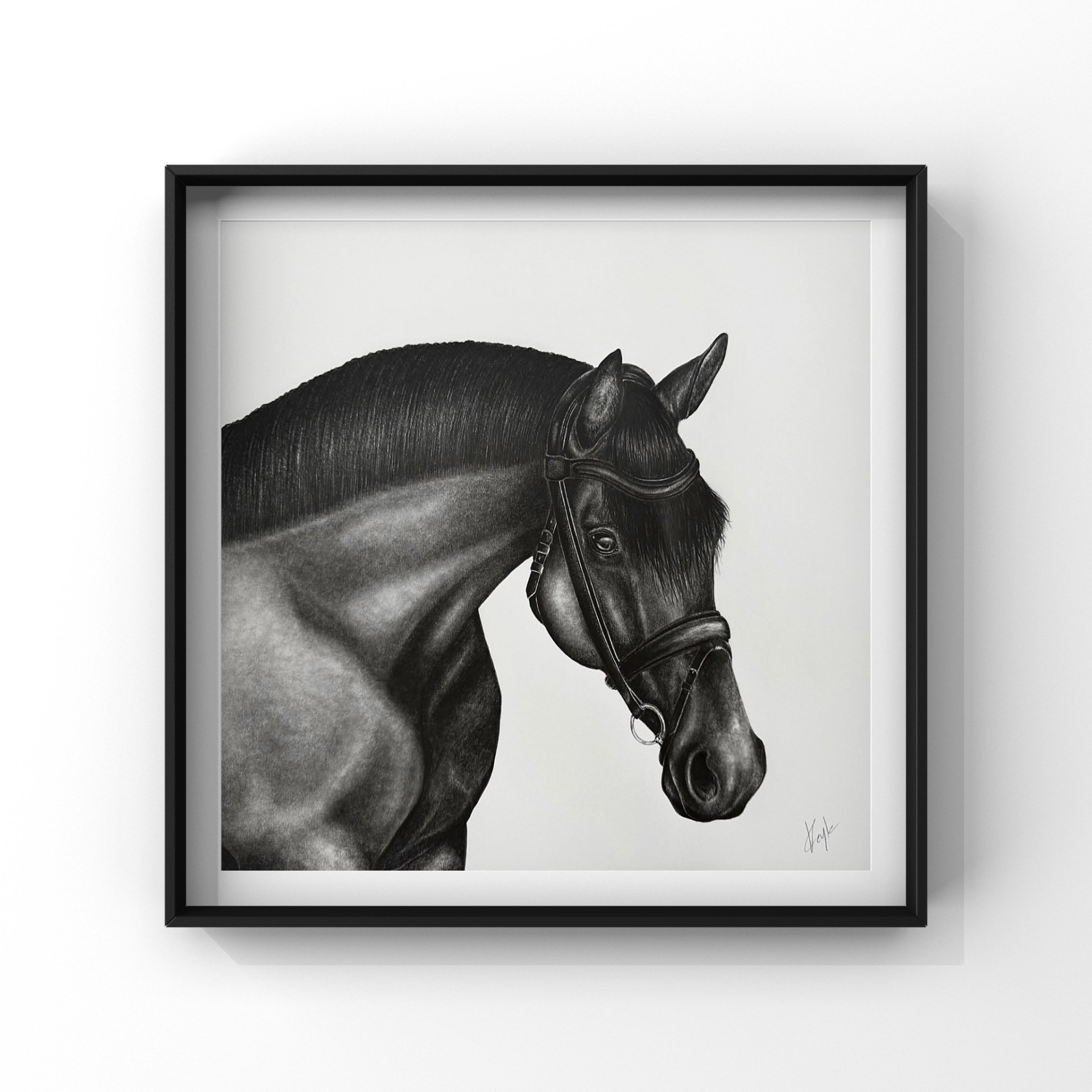 Black Horse graphite drawing